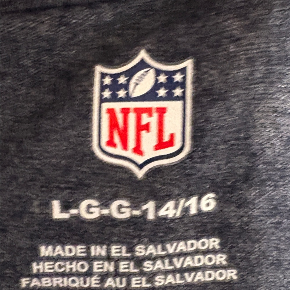 Lot of 2x [NFL] Seattle Seahawks NFL Casual Heather Shirts Tops Youth Kids M/L - Picture 10 of 10